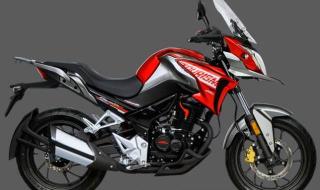 新大洲本田报价 新大洲本田报价