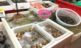 天津菜市场招商 天津菜市场招商