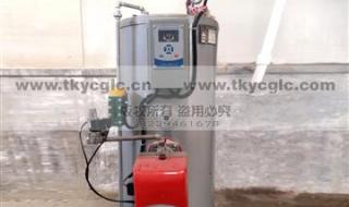 天然气燃气锅炉 天然气燃气锅炉