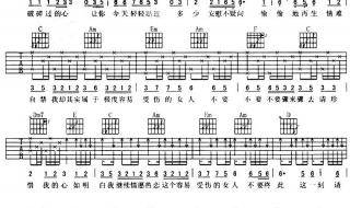 一个容易受伤的女人