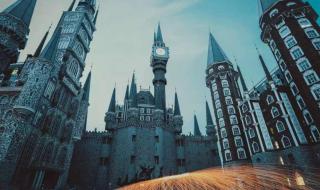 在霍格沃兹的中国人 在霍格沃兹的中国人