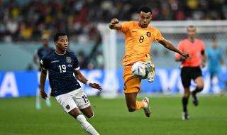 卡塔尔世界杯出局球队